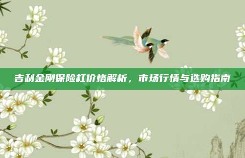 吉利金刚保险杠价格解析,市场行情与选购指南