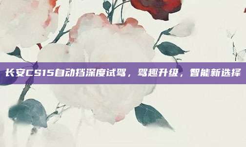 长安CS15自动挡深度试驾，驾趣升级，智能新选择