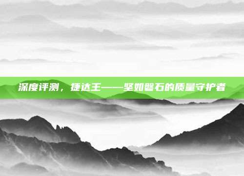 深度评测,捷达王——坚如磐石的质量守护者