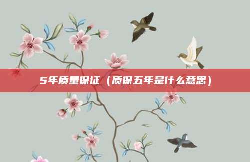 5年质量保证（质保五年是什么意思）