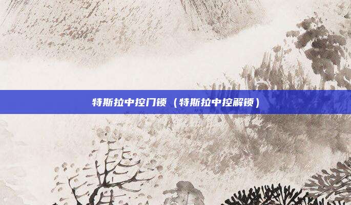 特斯拉中控门锁（特斯拉中控解锁）