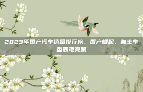 2023年国产汽车销量排行榜,国产崛起,自主车型表现亮眼