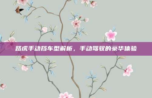 路虎手动挡车型解析,手动驾驭的豪华体验