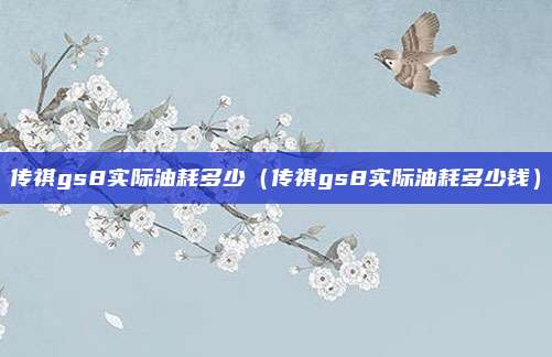 传祺gs8实际油耗多少（传祺gs8实际油耗多少钱）