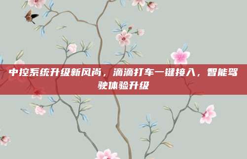 中控系统升级新风尚,滴滴打车一键接入,智能驾驶体验升级
