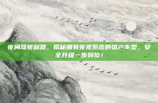 夜间驾驶利器，揭秘拥有夜视系统的国产车型，安全升级一步到位！