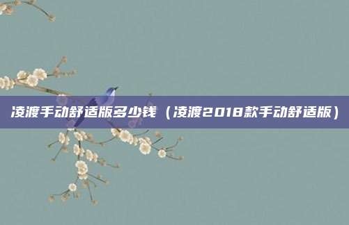 凌渡手动舒适版多少钱（凌渡2018款手动舒适版）