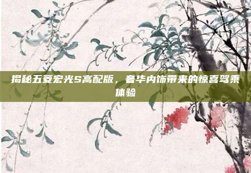 揭秘五菱宏光S高配版，奢华内饰带来的惊喜驾乘体验
