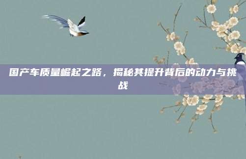 国产车质量崛起之路,揭秘其提升背后的动力与挑战