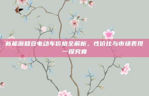 新能源知豆电动车价格全解析,性价比与市场表现一探究竟
