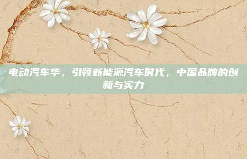 电动汽车华,引领新能源汽车时代,中国品牌的创新与实力