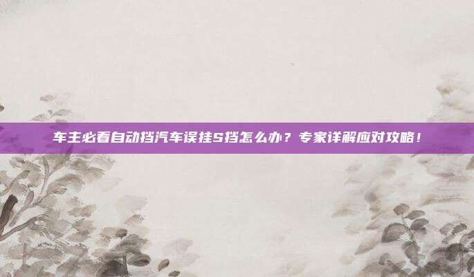车主必看自动挡汽车误挂S挡怎么办？专家详解应对攻略！