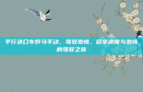 平行进口车野马手动，驾驭激情，尽享速度与激情的驾驭之旅