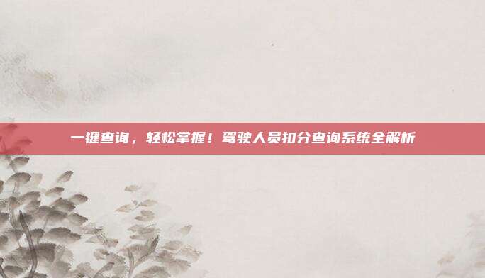 一键查询,轻松掌握!驾驶人员扣分查询系统全解析
