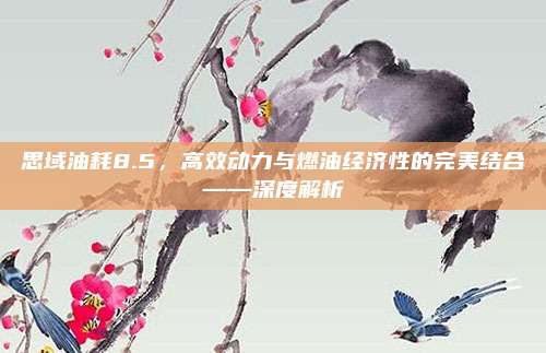 思域油耗8.5,高效动力与燃油经济性的完美结合——深度解析