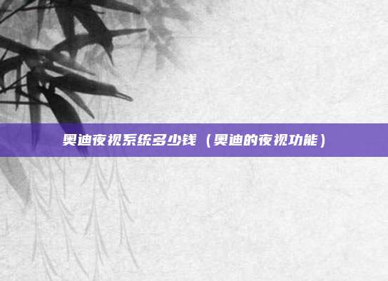 奥迪夜视系统多少钱（奥迪的夜视功能）