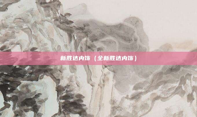 新胜达内饰（全新胜达内饰）