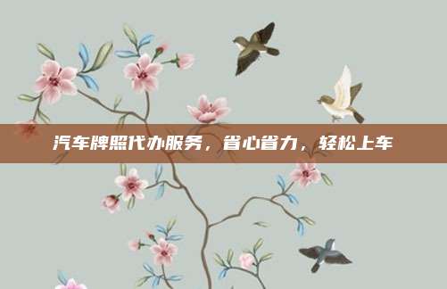 汽车牌照代办服务，省心省力，轻松上车