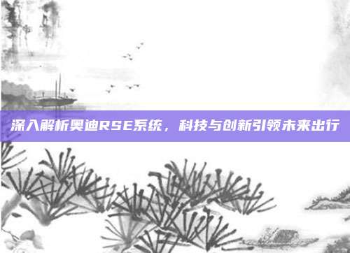 深入解析奥迪RSE系统,科技与创新引领未来出行