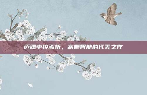 迈腾中控解析,高端智能的代表之作