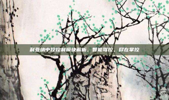利亚纳中控控制模块解析，智能驾控，尽在掌控