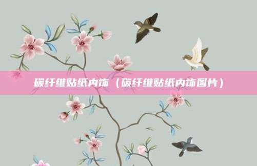 碳纤维贴纸内饰（碳纤维贴纸内饰图片）