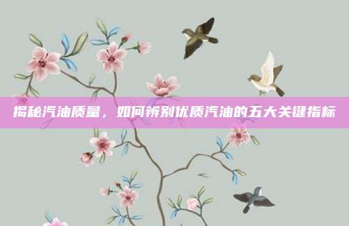 揭秘汽油质量，如何辨别优质汽油的五大关键指标