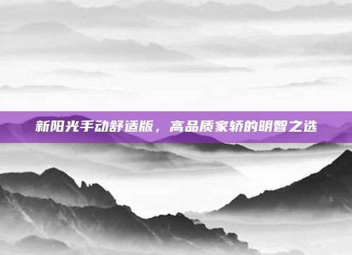 新阳光手动舒适版,高品质家轿的明智之选