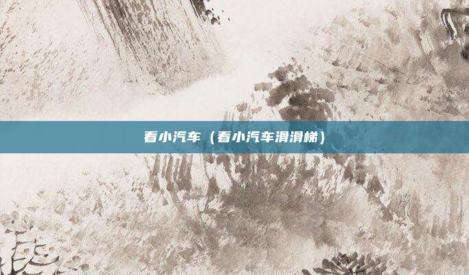 看小汽车（看小汽车滑滑梯）
