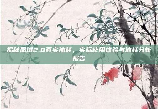 揭秘思域2.0真实油耗,实际使用体验与油耗分析报告