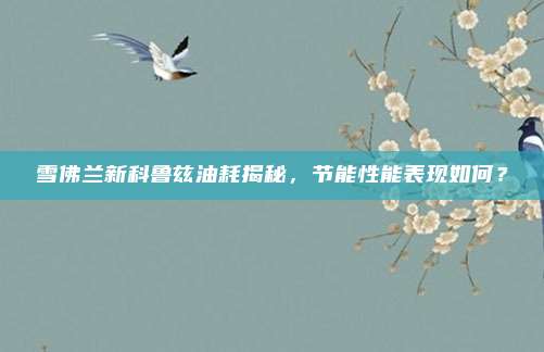 雪佛兰新科鲁兹油耗揭秘，节能性能表现如何？