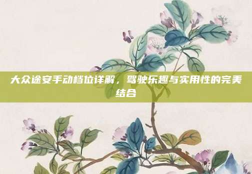 大众途安手动档位详解，驾驶乐趣与实用性的完美结合