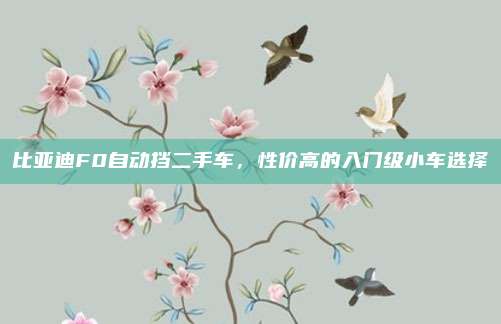 比亚迪F0自动挡二手车,性价高的入门级小车选择