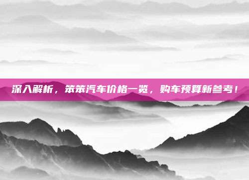 深入解析,笨笨汽车价格一览,购车预算新参考!