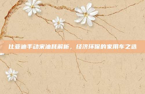 比亚迪手动宋油耗解析,经济环保的家用车之选