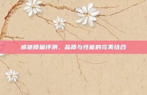 威驰质量评测，品质与性能的完美结合