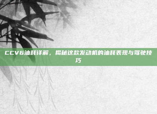 CCV6油耗详解,揭秘这款发动机的油耗表现与驾驶技巧