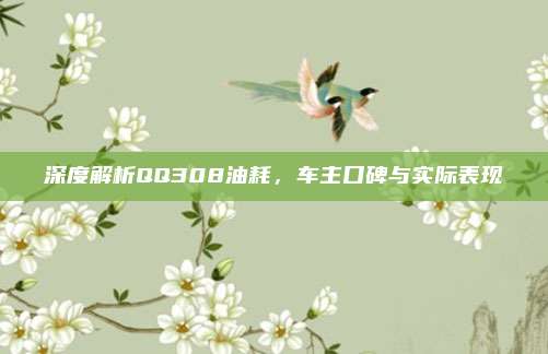深度解析QQ308油耗,车主口碑与实际表现