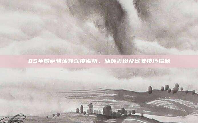 05年帕萨特油耗深度解析,油耗表现及驾驶技巧揭秘