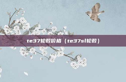 te37轮毂价格（te37sl轮毂）