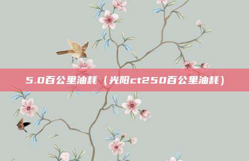 5.0百公里油耗（光阳ct250百公里油耗）