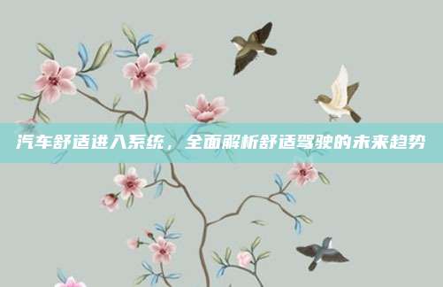 汽车舒适进入系统,全面解析舒适驾驶的未来趋势