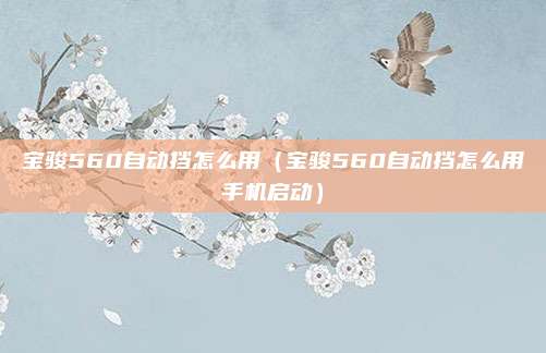 宝骏560自动挡怎么用（宝骏560自动挡怎么用手机启动）