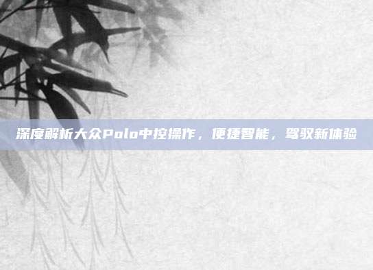 深度解析大众Polo中控操作,便捷智能,驾驭新体验