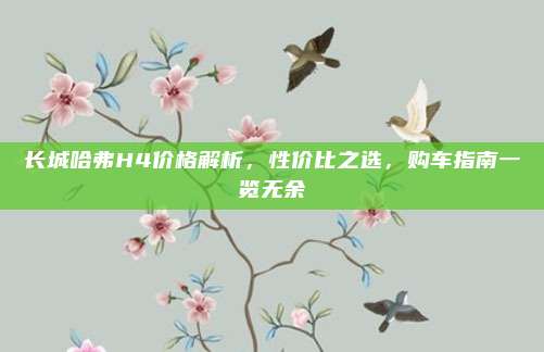 长城哈弗H4价格解析，性价比之选，购车指南一览无余