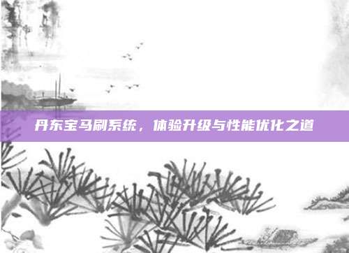 丹东宝马刷系统，体验升级与性能优化之道