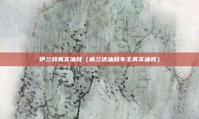 伊兰特真实油耗（威兰达油耗车主真实油耗）