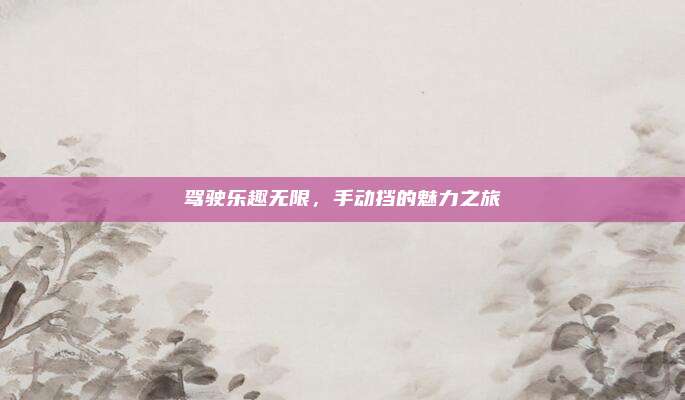 驾驶乐趣无限,手动挡的魅力之旅