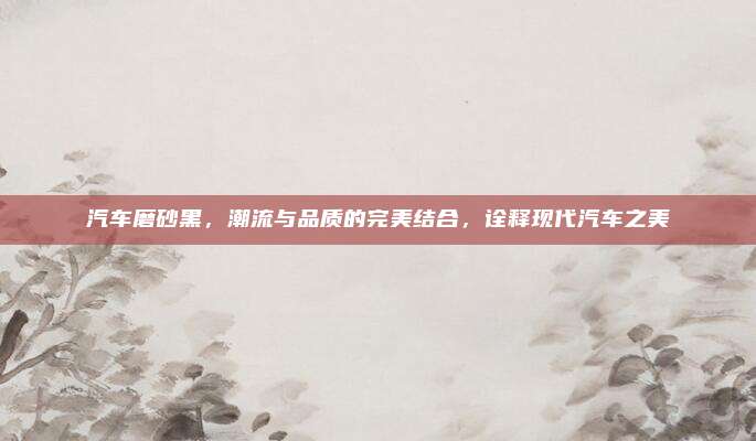 汽车磨砂黑，潮流与品质的完美结合，诠释现代汽车之美