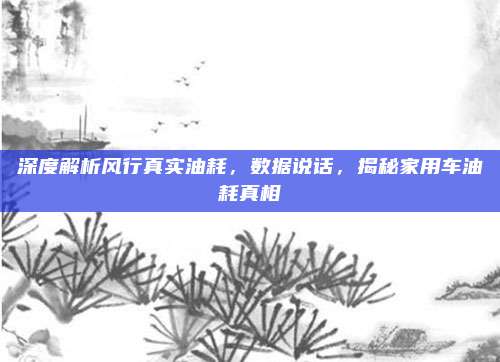 深度解析风行真实油耗，数据说话，揭秘家用车油耗真相